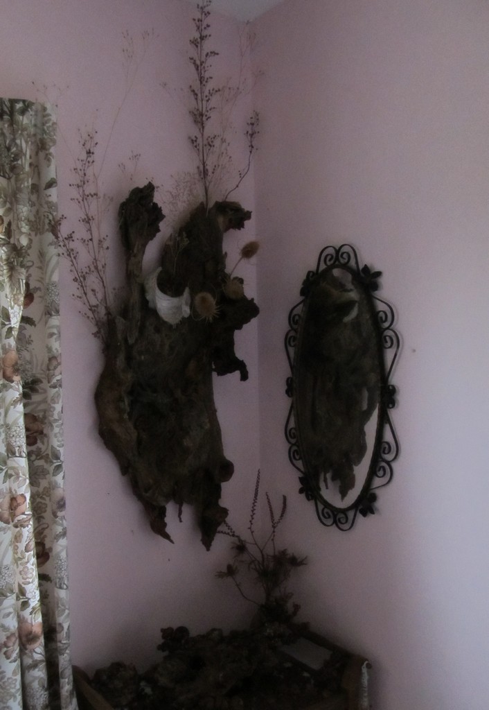 wood display on wall